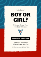 baby gender reveal invitation