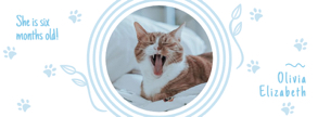 pet facebook cover