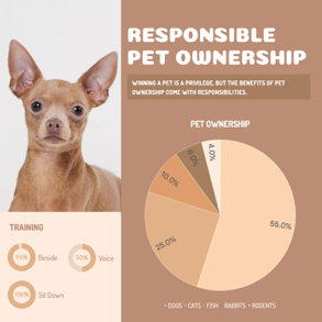 pet-ownership-pie-chart
