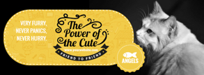 power of cute