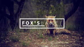 fox dance
