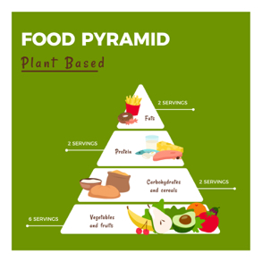 food-pyramid