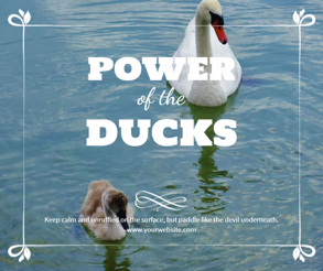 duck post