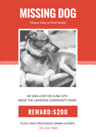 white-and-orange-dog-missing-poster