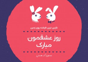 cute rabbit couple