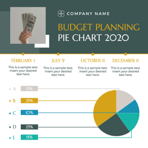 company-budget-planning-pie-chart