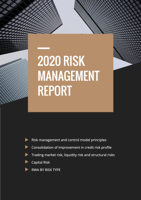 risk management report