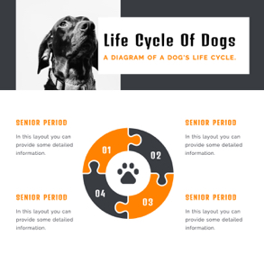 life-cycle-of-a-animal-diagram