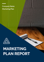 marketing plan report