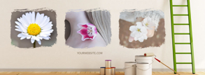decorate the house
