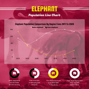 elephant-population-line-chart