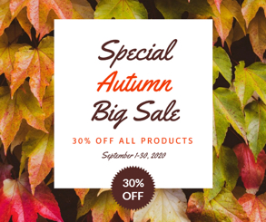 autumn sale