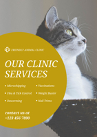 cat-photo-animal-clinic-poster