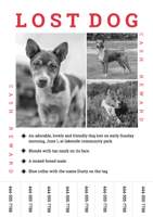 life-lost-dog-flyer