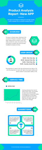 product analysis report