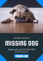 rewarded-missing-dog-poster