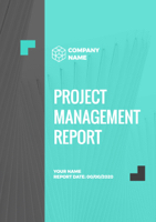 company project report