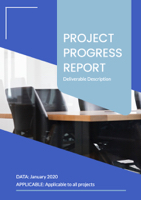 project progress report