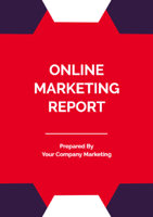 online marketing report