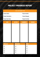 project progress report