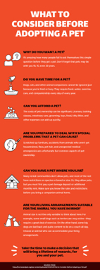 before-adopting-a-pet