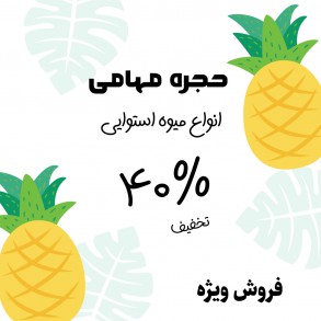 summer offers
