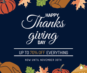 thanksgiving day sale