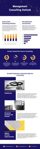 business management consult