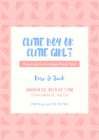 baby gender reveal party