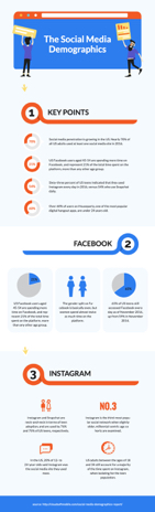 social media demographics