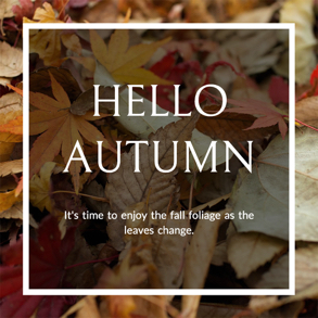 hello-autumn-instagram-post
