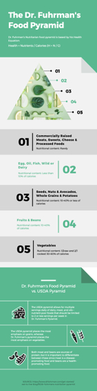 food pyramid analysis