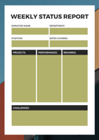 weekly status report