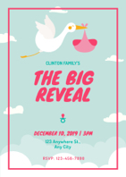 adorable gender reveal