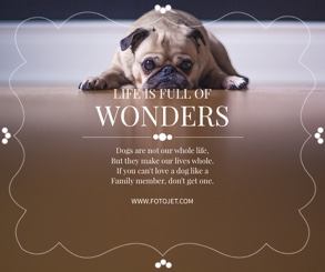 cute dog post