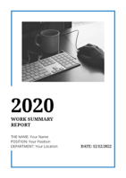 work summary report