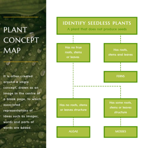 plant-concept-map
