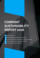 company sustainability report