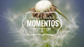 beautiful moments