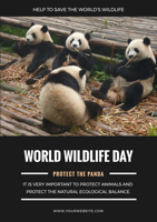 black-background-cute-panda-photo-poster