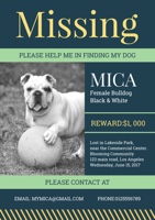 finding-dog-poster